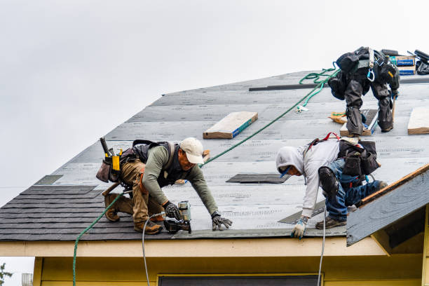 Professional Gutter Installation technician working in Ethridge, TN